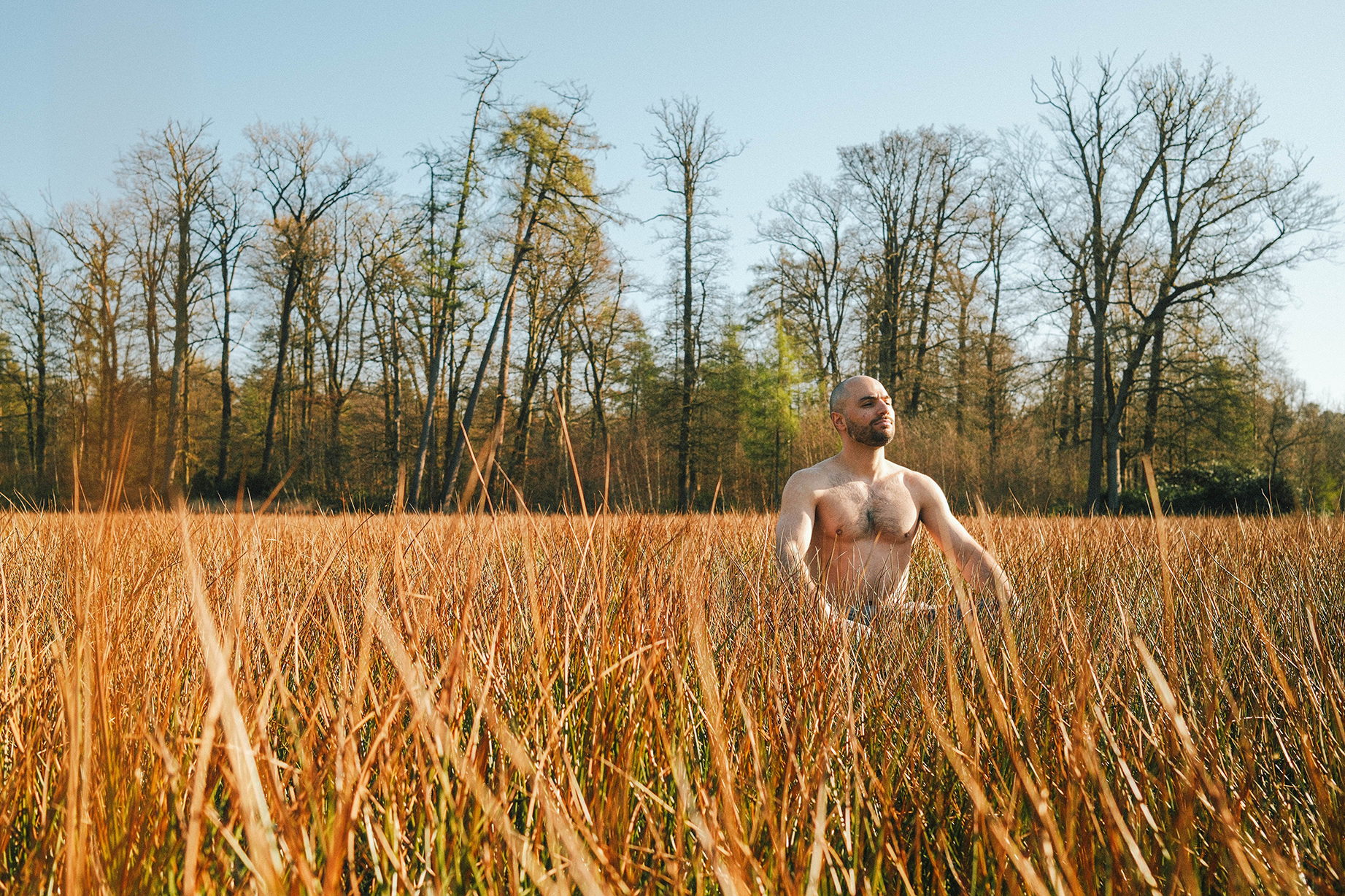 Het effect van creatine gummies: wat doet het met je lichaam?